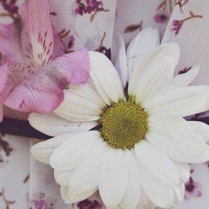 Meet your Posher, Eliana